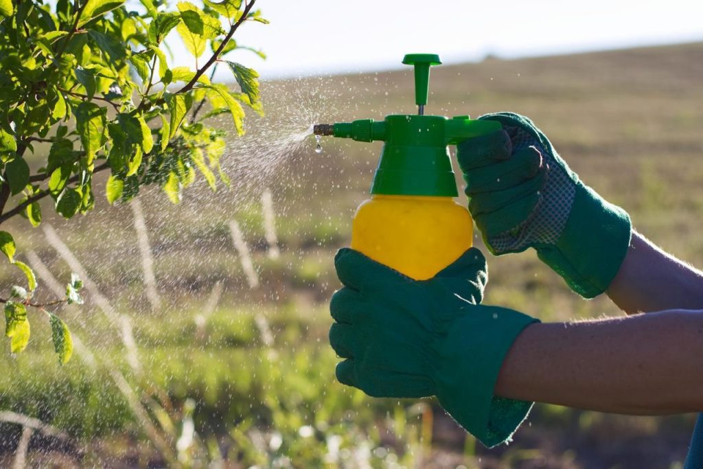 La industria de protección de cultivos se mantiene trabajando para ofrecer a los productores agrícolas, fitosanitarios cada vez más seguros, inocuos y amigables con el ambiente