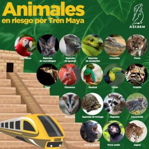 El sacrificio de animales agrava aún más la crisis ambiental del país