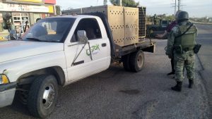La Unidad de Rescate de Fauna Silvestre del Santuario Ostok rescató y puso bajo custodia a dos tigres blancos de bengala tras un operativo militar