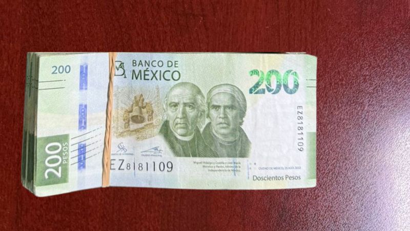 1-DETIENE FECCED POR COHECHO A SERVIDOR PÚBLICO DE RECAUDACIÓN DE RENTAS EN GUADALUPE VICTORIA