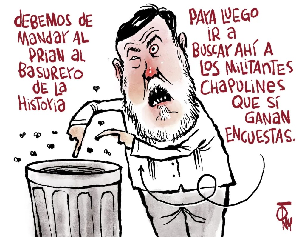 bervorrea de noroña