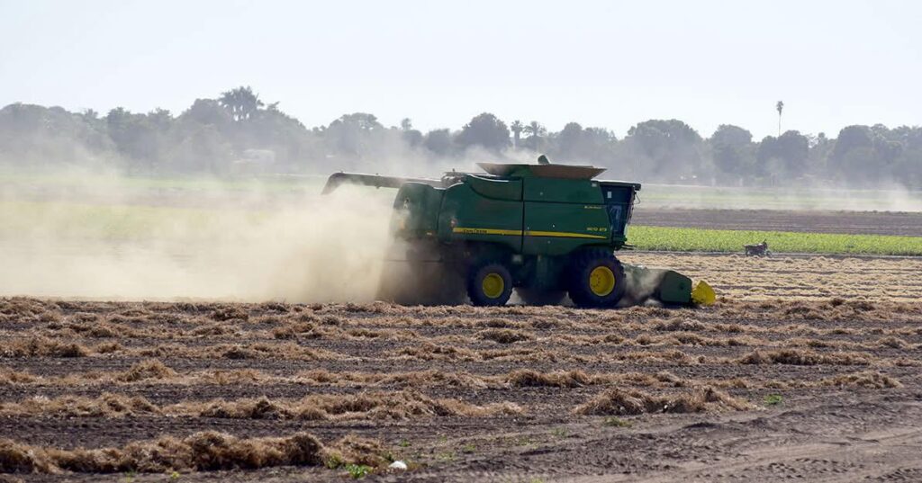 México requiere del concurso no sólo de los ingenieros agrónomos, sino de especialistas en todas las ramas relacionadas con el desarrollo del sector agropecuario, forestal, pesquero y agroindustrial