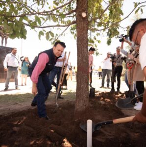 5-Gobierno del Estado lanza Reforestando Durango 2025 para preservar los bosques y su biodiversidad (1)