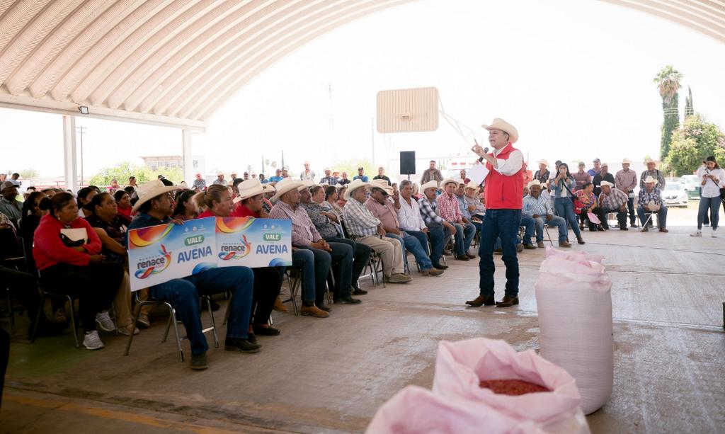 03-Con apoyo de Esteban, productores de Simón Bolívar ya siembran avena y aseguran alimento para su ganado (1)
