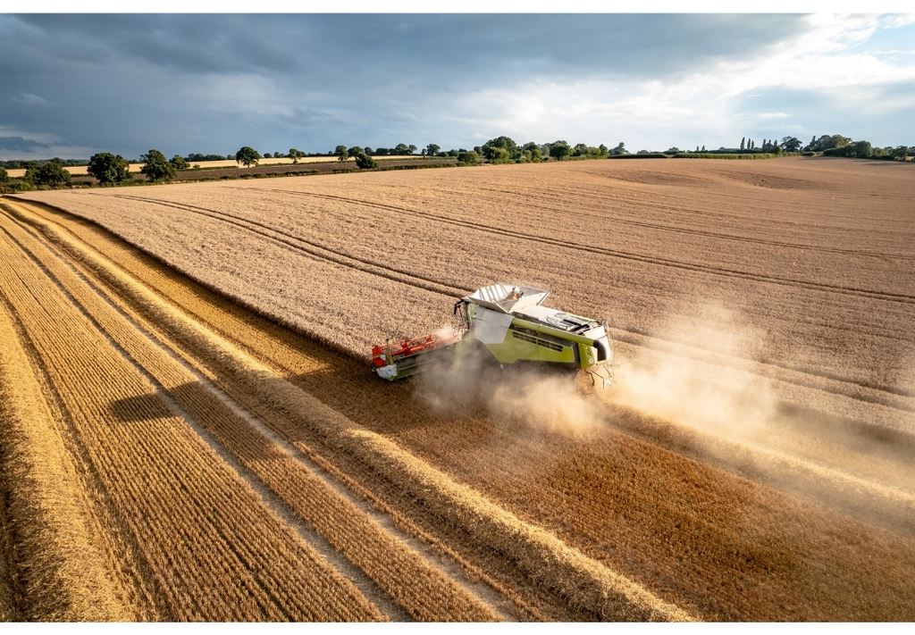 1-Los niveles de intermediarismo son muy altos y se requiere acortar la cadena de mercado