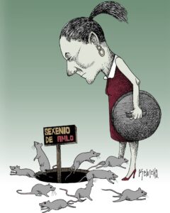 Destapando coladeras sin querer