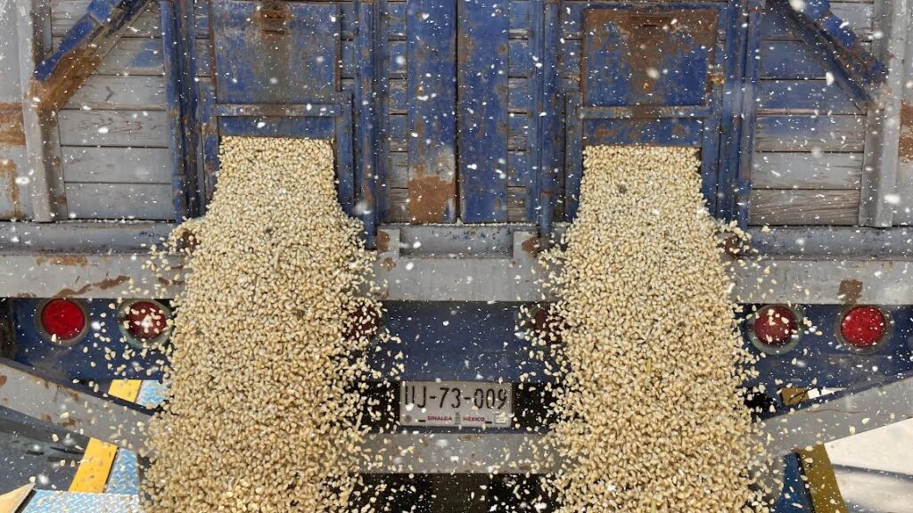 El T-MEC, con reglas exigentes, enfrenta agendas sensibles en lo laboral, ambiental, sanitario y automotriz