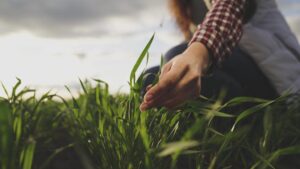 El incremento para el sector agroalimentario es insuficiente