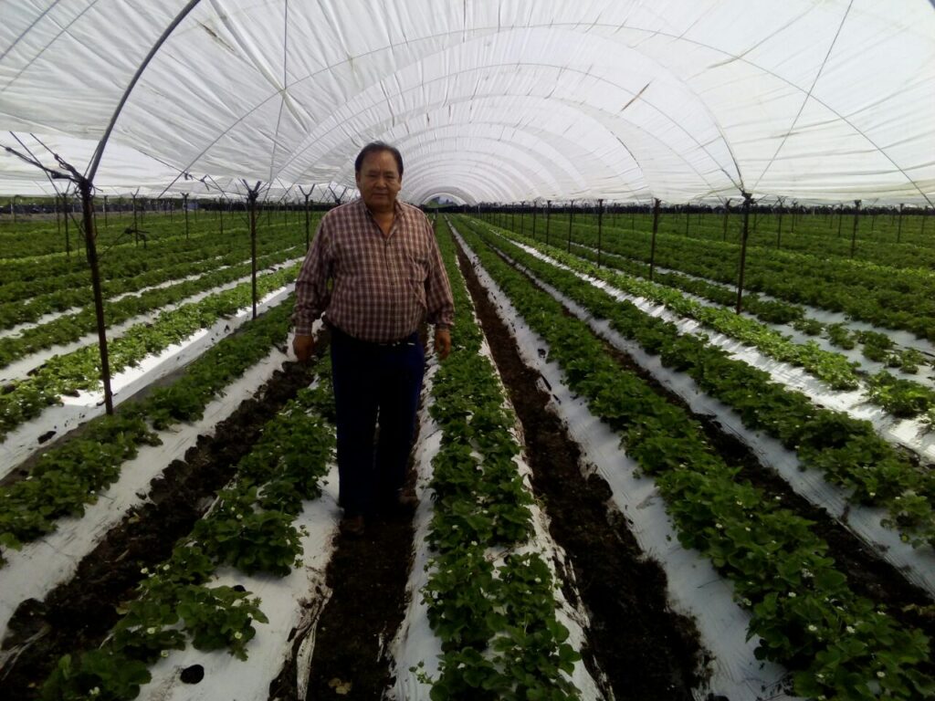 En el caso del ser humano, se estima que el 65 % del peso corporal es agua