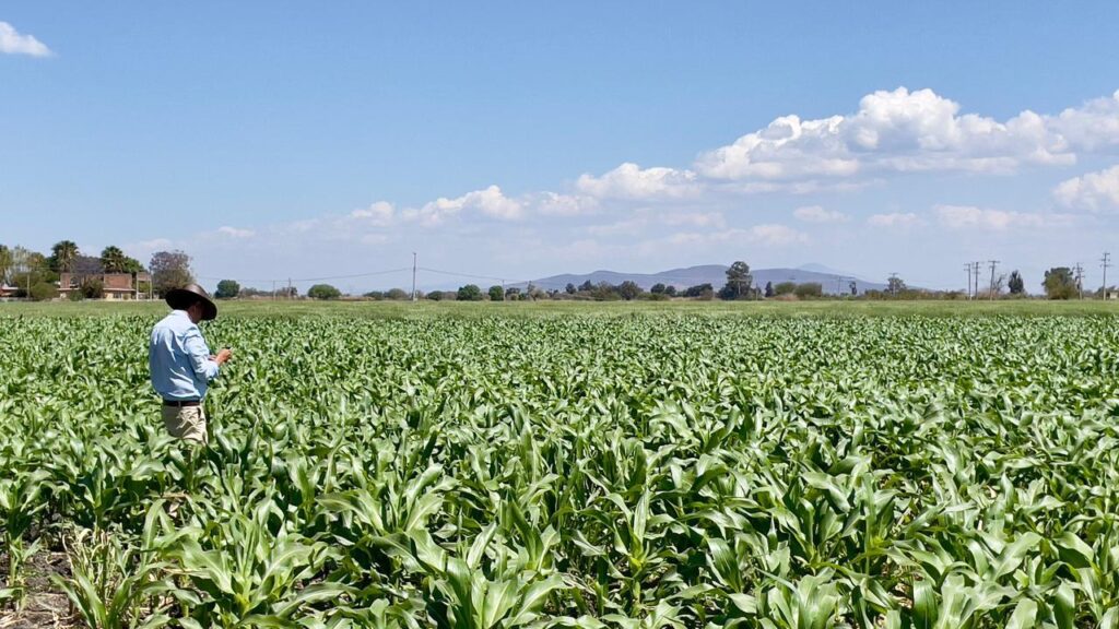 La UMFFAAC seguirá colaborando para incrementar el equilibrio entre una agricultura saludable y el objetivo de aumentar la autosuficiencia y la soberanía alimentaria