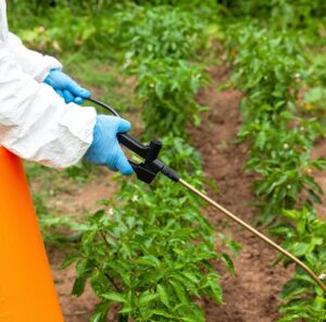 Esta medida prioriza el uso de tecnologías que garanticen la protección de cultivos de manera sustentable