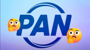 nuevo PAN 1
