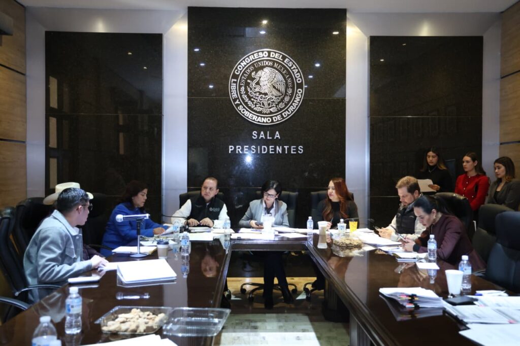 LEYES DE INGRESOS PM