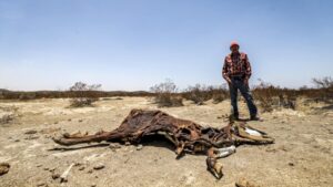 Avanza la dependencia alimentaria por abandono a productores 3