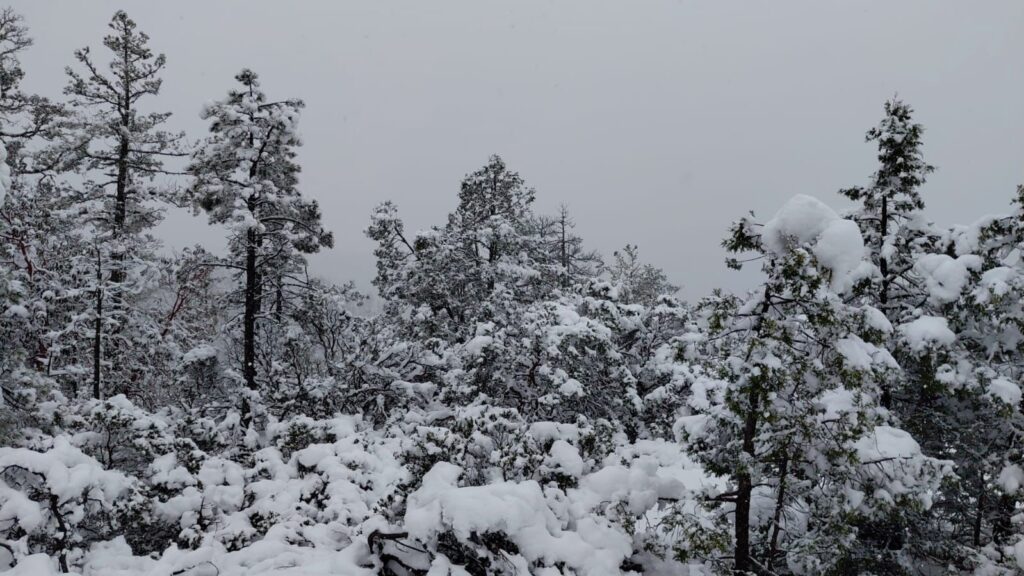 Gobierno del Estado mantiene monitoreo por lluvias, viento y nieve en Durango5