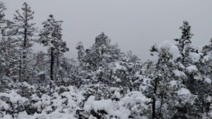 Gobierno del Estado mantiene monitoreo por lluvias, viento y nieve en Durango5