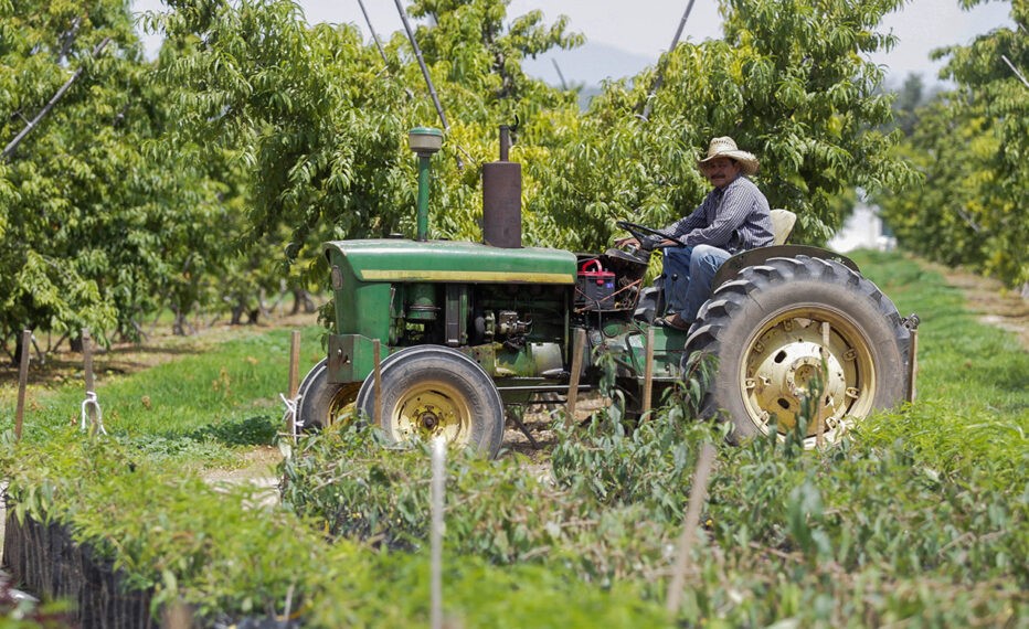 El saldo comercial positivo de la balanza agroalimentaria de México continúa su caída