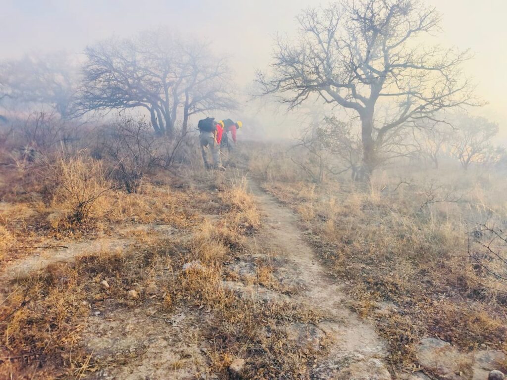 Fue liquidado en su totalidad el incendio forestal registrado en las inmediaciones de la presa Guadalupe Victoria (4)