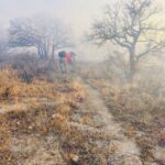 Fue liquidado en su totalidad el incendio forestal registrado en las inmediaciones de la presa Guadalupe Victoria (4)