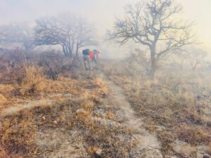 Fue liquidado en su totalidad el incendio forestal registrado en las inmediaciones de la presa Guadalupe Victoria (4)