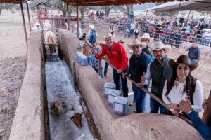 Durango, con la mejor sanidad ganadera del norte del país; mantiene control de tuberculosis y brucelosis (1)