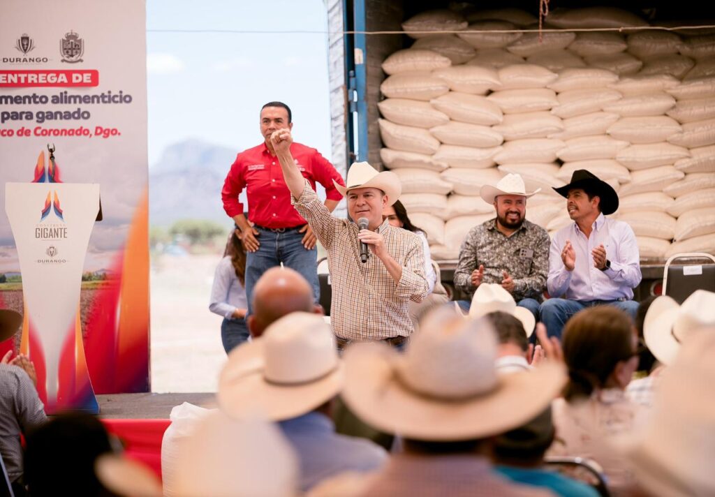 Más de 400 productores de Pánuco de Coronado reciben 100 toneladas de maíz molido para mantener alimentado su ganado durante la sequía (2)