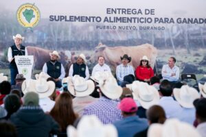 600 productores de Pueblo Nuevo ahorrarán en la alimentación de su ganado (4)