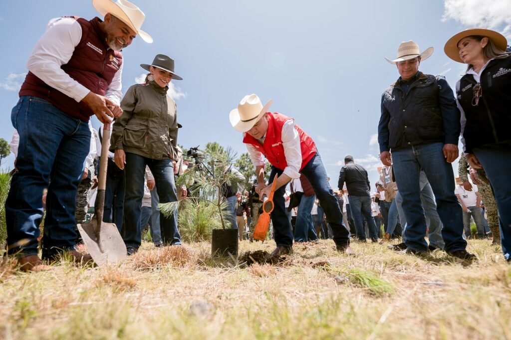 Durango, referente forestal del país, se suma a la Jornada Nacional de Reforestación de la Presidenta Claudia con la plantación de 6 mil pinos (2)