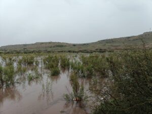 Realiza Protección Civil monitoreo constante en la Presa del Hielo; no existe riesgo para la población (3)