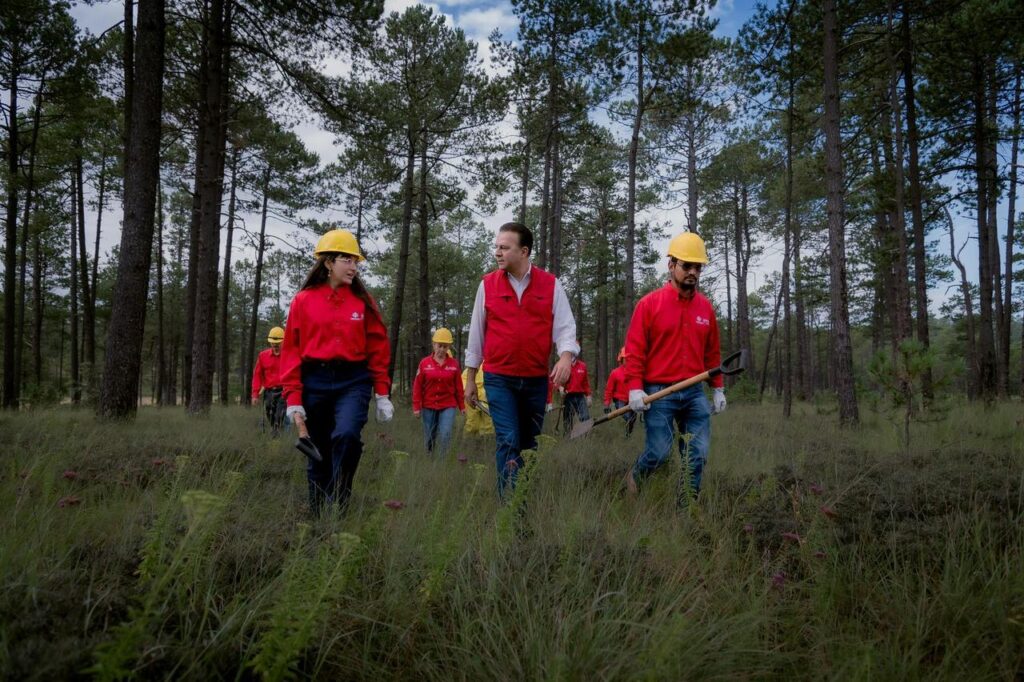 Durango mantiene su liderazgo forestal y es ejemplo nacional en la conservación de sus bosques; destaca Esteban Villegas los resultados de su Cuarto Informe (3)