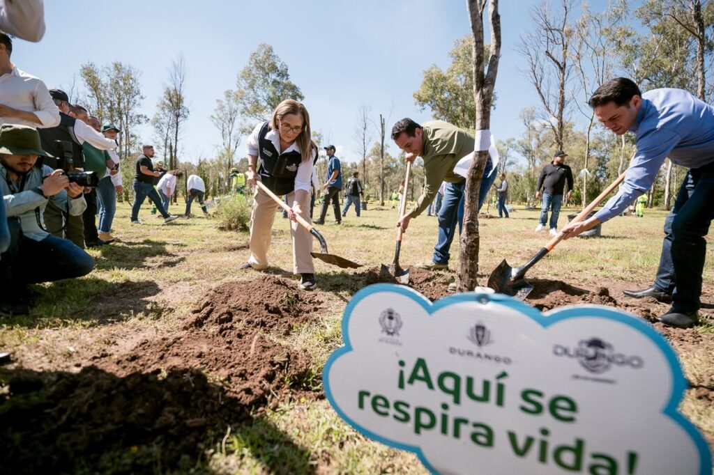 Gobierno del Estado trabaja con el Municipio en reforestación de parques y espacios públicos (3)