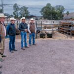 Apoya Gobierno del Estado a ganaderos con subsidios para mejorar la genética del hato duranguense (5)