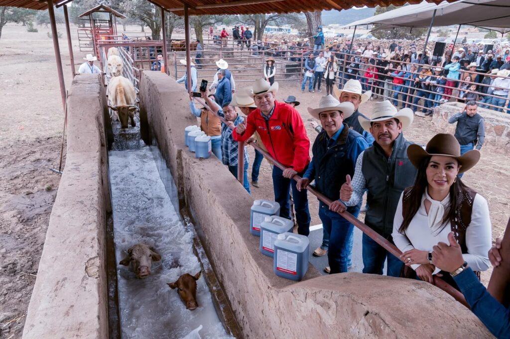 Durango mantiene estatus para exportar ganado a Estados Unidos tras revisión de USDA (1)